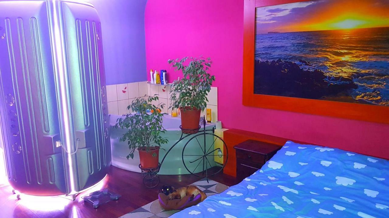 Apartament Park Slaski Katowice Ngoại thất bức ảnh